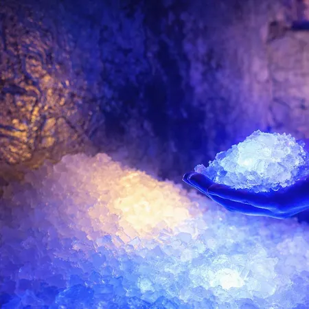 Sporthotel Radstadt 酒店 4*