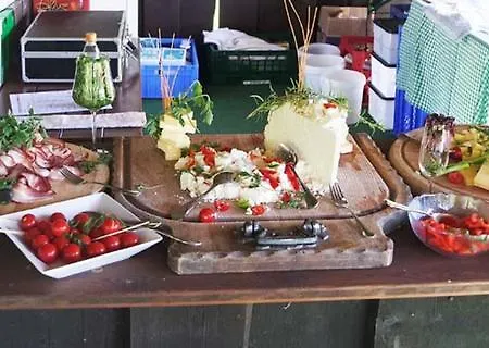 酒店 Sporthotel Radstadt 4*